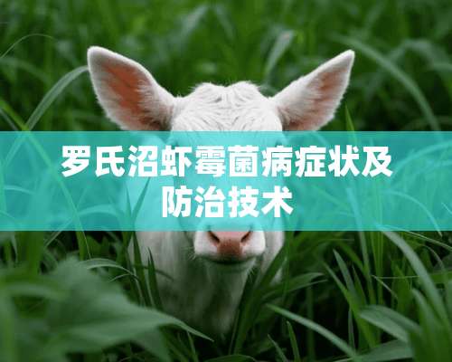 罗氏沼虾霉菌病症状及防治技术