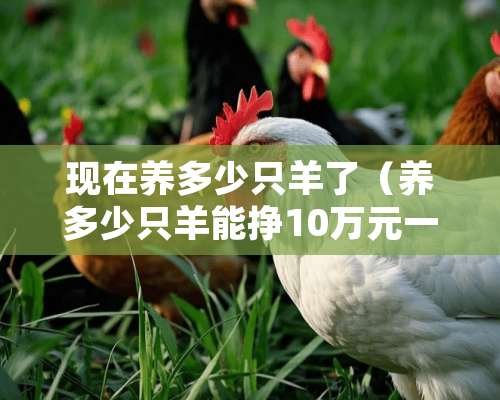 现在养多少只羊了（养多少只羊能挣10万元一年）