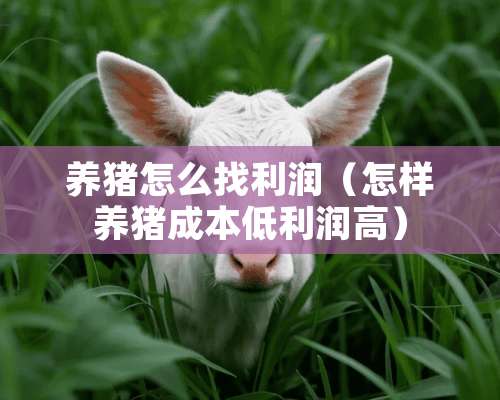 养猪怎么找利润（怎样养猪成本低利润高）