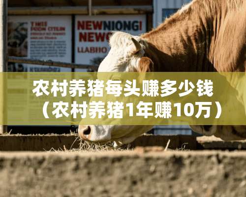 农村养猪每头赚多少钱（农村养猪1年赚10万）