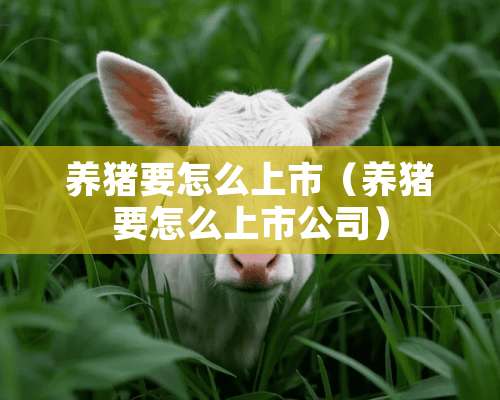 养猪要怎么上市（养猪要怎么上市公司）