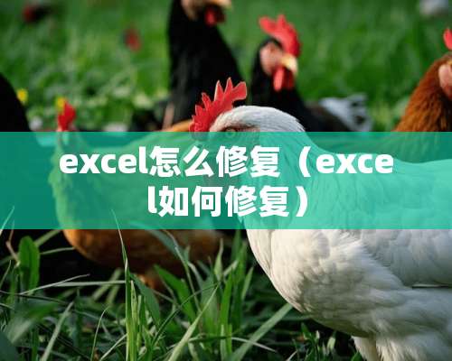 excel怎么修复（excel如何修复）