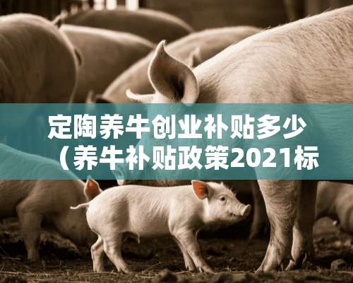 定陶养牛创业补贴多少（养牛补贴政策2021标准）