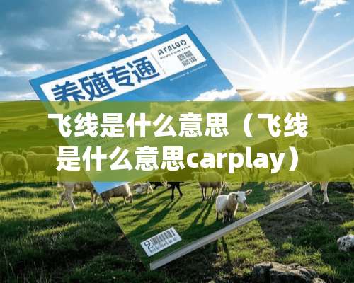 飞线是什么意思（飞线是什么意思carplay）