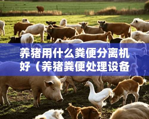 养猪用什么粪便分离机好（养猪粪便处理设备）