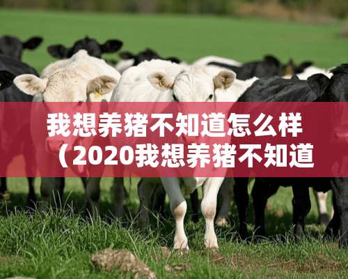 我想养猪不知道怎么样（2020我想养猪不知道怎么样）