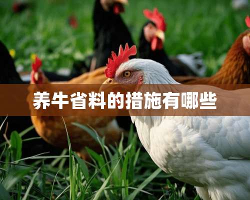 养牛省料的措施有哪些