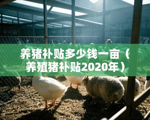 养猪补贴多少钱一亩（养殖猪补贴2020年）