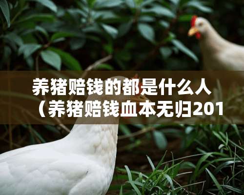 养猪赔钱的都是什么人（养猪赔钱血本无归2018）