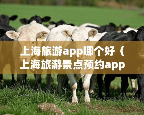 上海旅游app哪个好（上海旅游景点预约app）