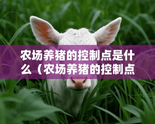 农场养猪的控制点是什么（农场养猪的控制点是什么意思）