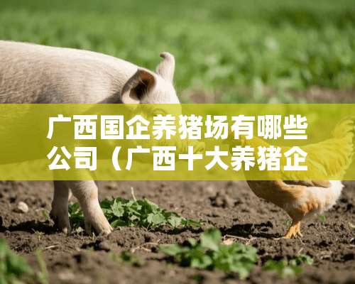 广西国企养猪场有哪些公司（广西十大养猪企业排名）