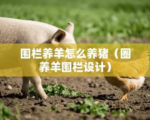 围栏养羊怎么养猪（圈养羊围栏设计）