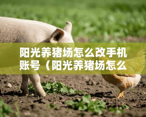 阳光养猪场怎么改手机账号（阳光养猪场怎么激活好友）