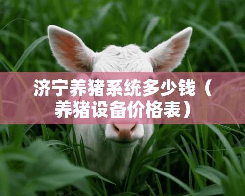 济宁养猪系统多少钱（养猪设备价格表）