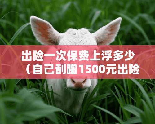 出险一次保费上浮多少（自己刮蹭1500元出险划算吗）