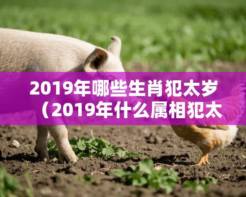 2019年哪些生肖犯太岁（2019年什么属相犯太岁害太岁）