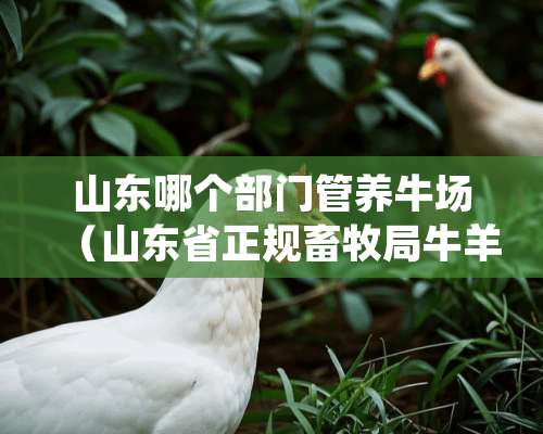 山东哪个部门管养牛场（山东省正规畜牧局牛羊养殖场）