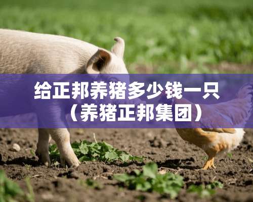 给正邦养猪多少钱一只（养猪正邦集团）