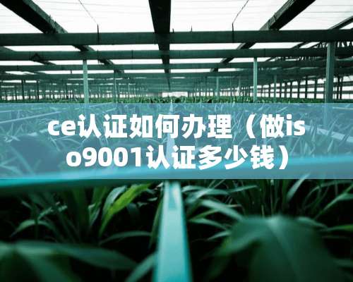 ce认证如何办理（做iso9001认证多少钱）