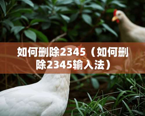 如何删除2345（如何删除2345输入法）