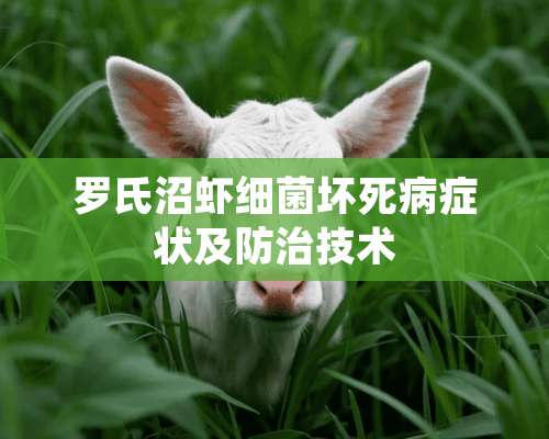 罗氏沼虾细菌坏死病症状及防治技术