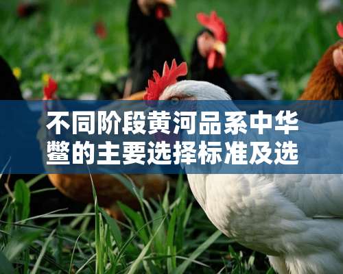 不同阶段黄河品系中华鳖的主要选择标准及选择结果分析