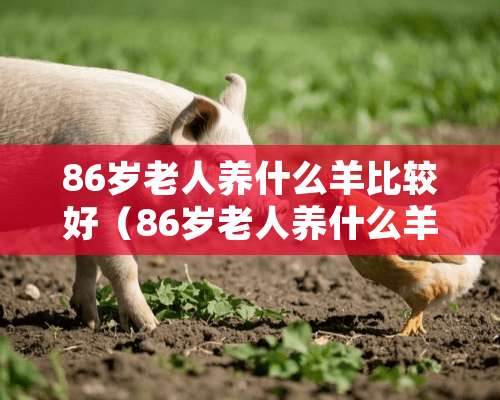 86岁老人养什么羊比较好（86岁老人养什么羊比较好养）