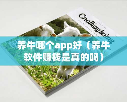 养牛哪个app好（养牛软件赚钱是真的吗）