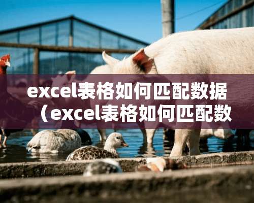 excel表格如何匹配数据（excel表格如何匹配数据的公式）