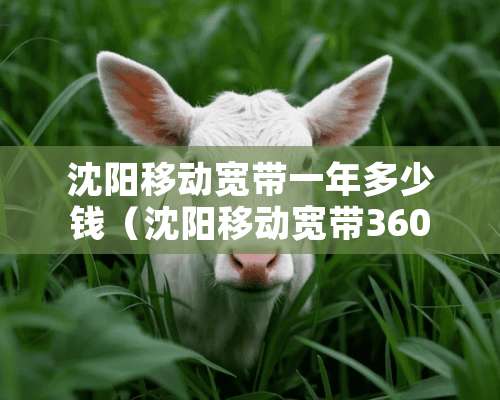 沈阳移动宽带一年多少钱（沈阳移动宽带360元一年怎么办）