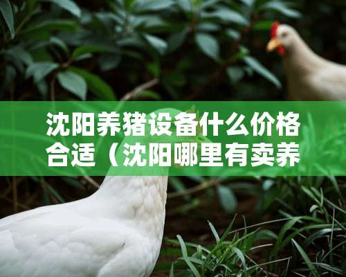 沈阳养猪设备什么价格合适（沈阳哪里有卖养猪设备批发）