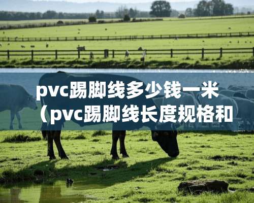 pvc踢脚线多少钱一米（pvc踢脚线长度规格和价格）