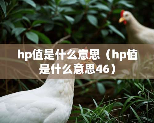 hp值是什么意思（hp值是什么意思46）