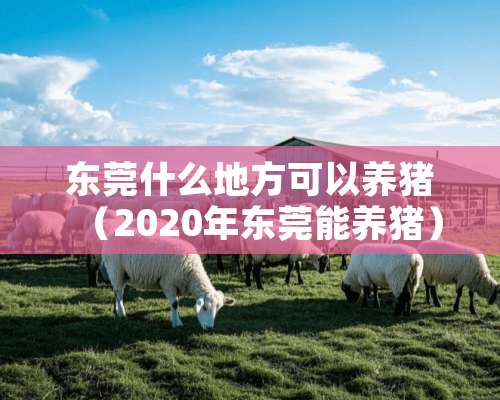 东莞什么地方可以养猪（2020年东莞能养猪）