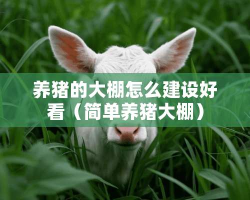 养猪的大棚怎么建设好看（简单养猪大棚）