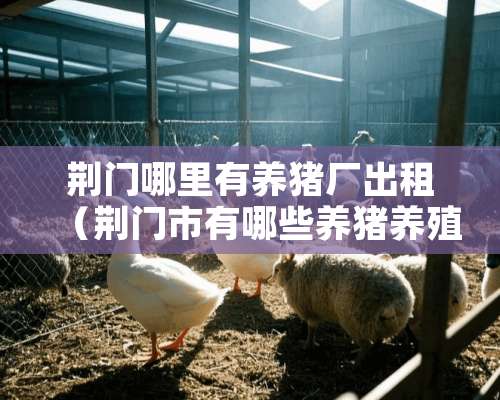 荆门哪里有养猪厂出租（荆门市有哪些养猪养殖集团）