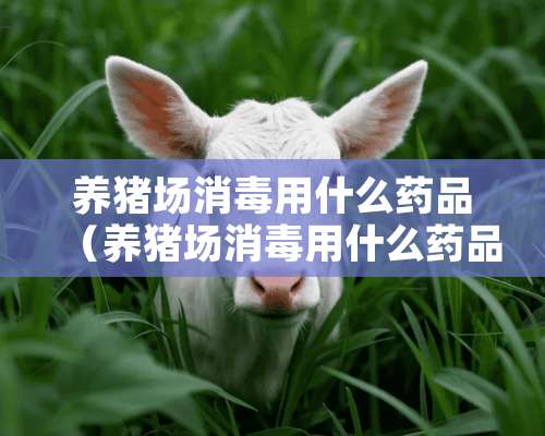 养猪场消毒用什么药品（养猪场消毒用什么药品效果好）