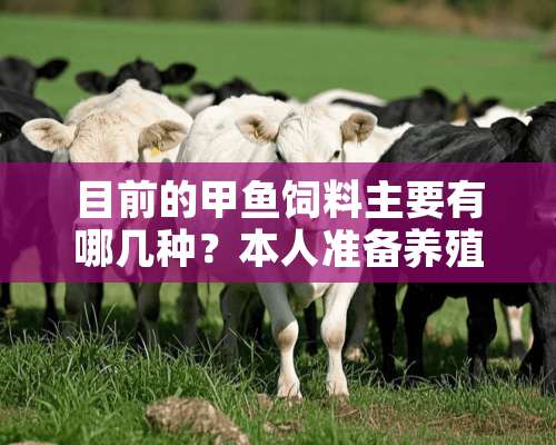 目前的甲鱼饲料主要有哪几种？本人准备养殖甲鱼