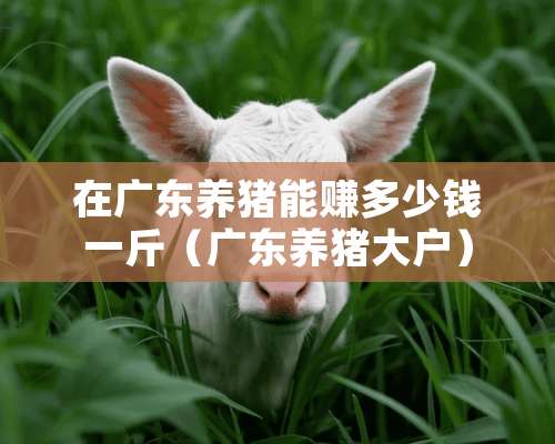 在广东养猪能赚多少钱一斤（广东养猪大户）