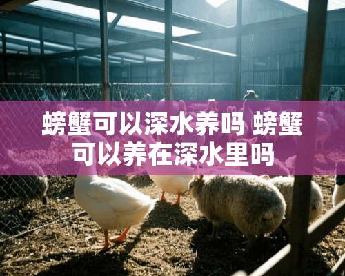 螃蟹可以深水养吗 螃蟹可以养在深水里吗