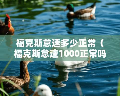 福克斯怠速多少正常（福克斯怠速1000正常吗）