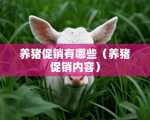 养猪促销有哪些（养猪促销内容）