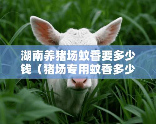 湖南养猪场蚊香要多少钱（猪场专用蚊香多少钱一箱）