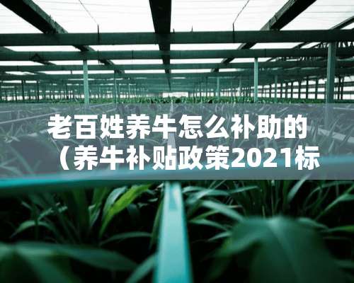 老百姓养牛怎么补助的（养牛补贴政策2021标准怎么申请）