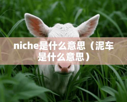 niche是什么意思（泥车是什么意思）