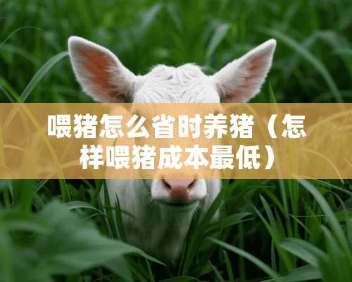 喂猪怎么省时养猪（怎样喂猪成本最低）