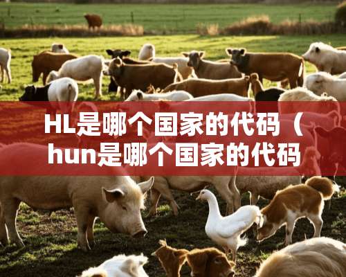 HL是哪个国家的代码（hun是哪个国家的代码）