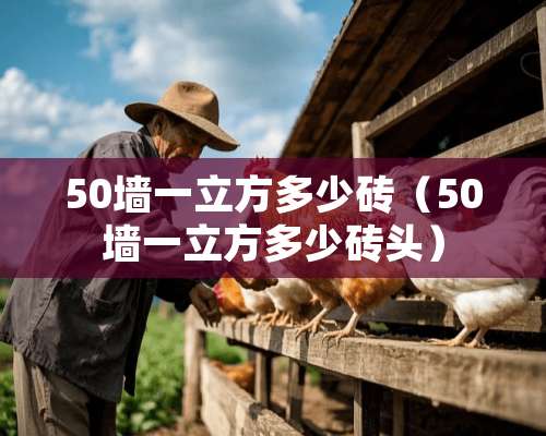 50墙一立方多少砖（50墙一立方多少砖头）