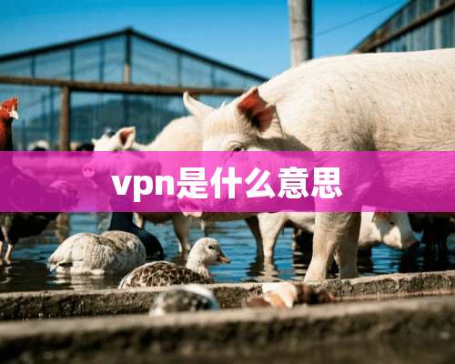 vpn是什么意思